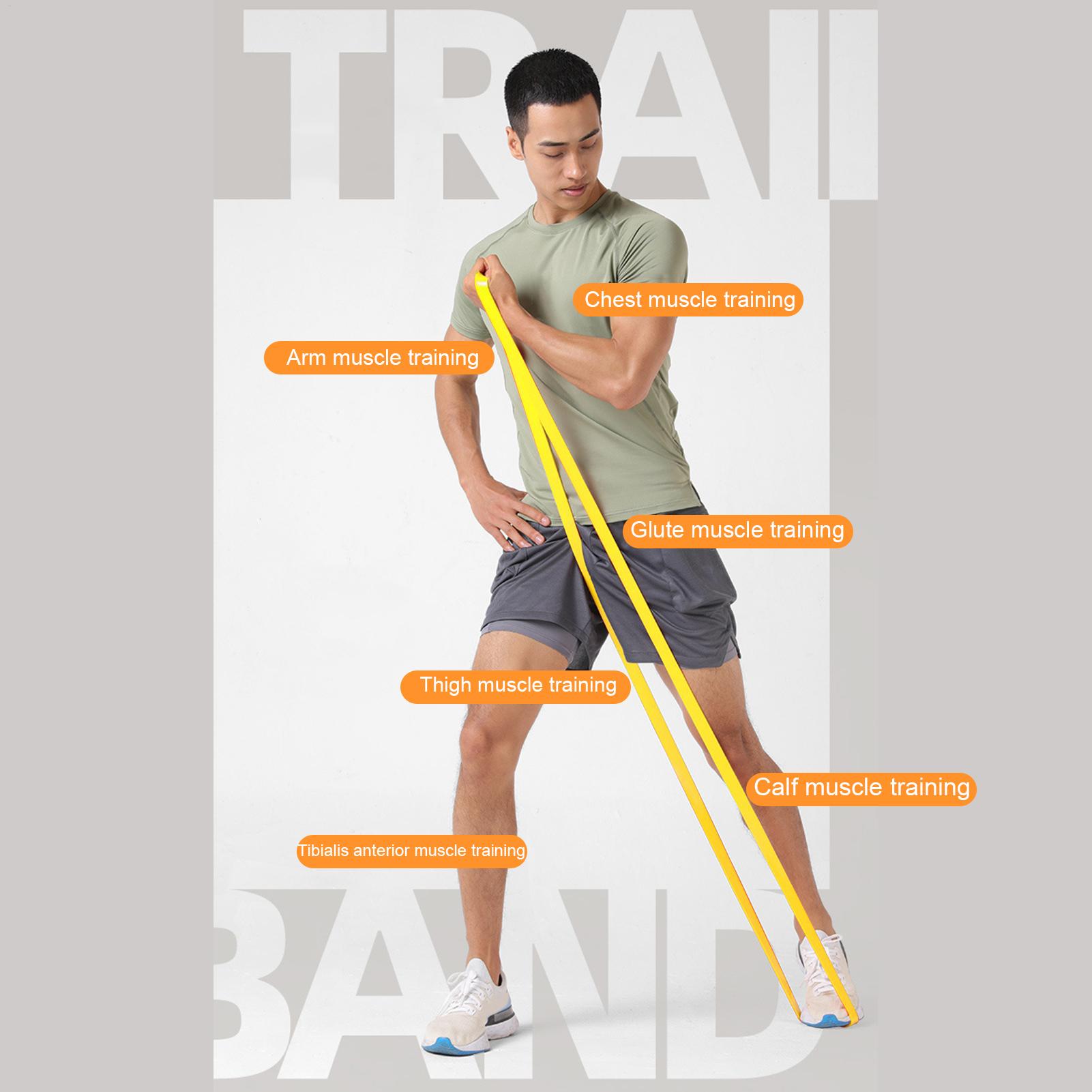 Bandas elásticas de resistenci - Pull Up Assist Band reseña y precio
