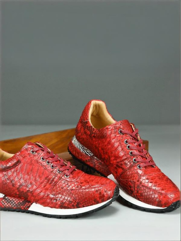 Zapatos Casuales de Piel de Se - Crossfit Male reseña y precio